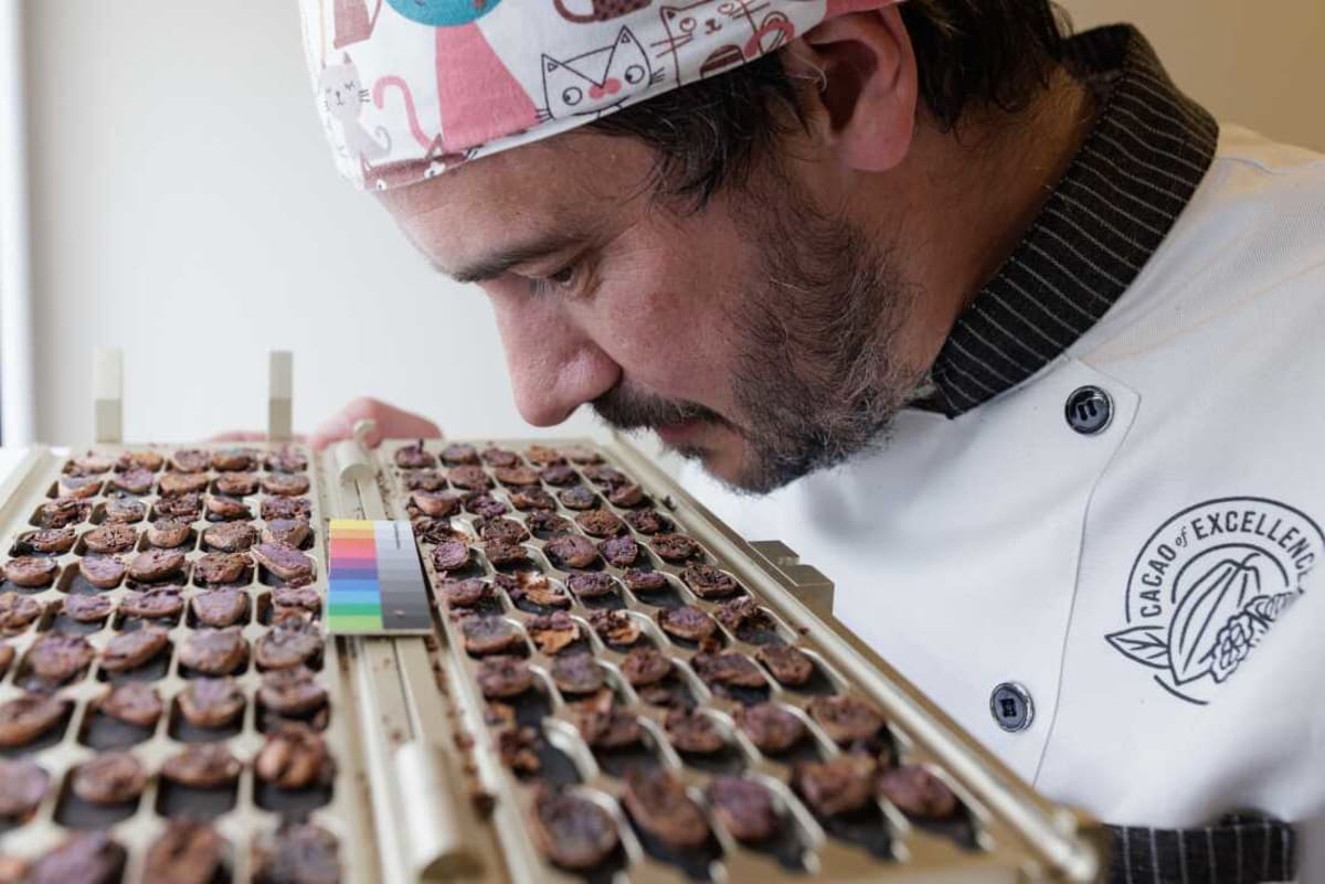 Italy Opens Chocolate Lab to Help Cacao Farmers Thrive - Image 3