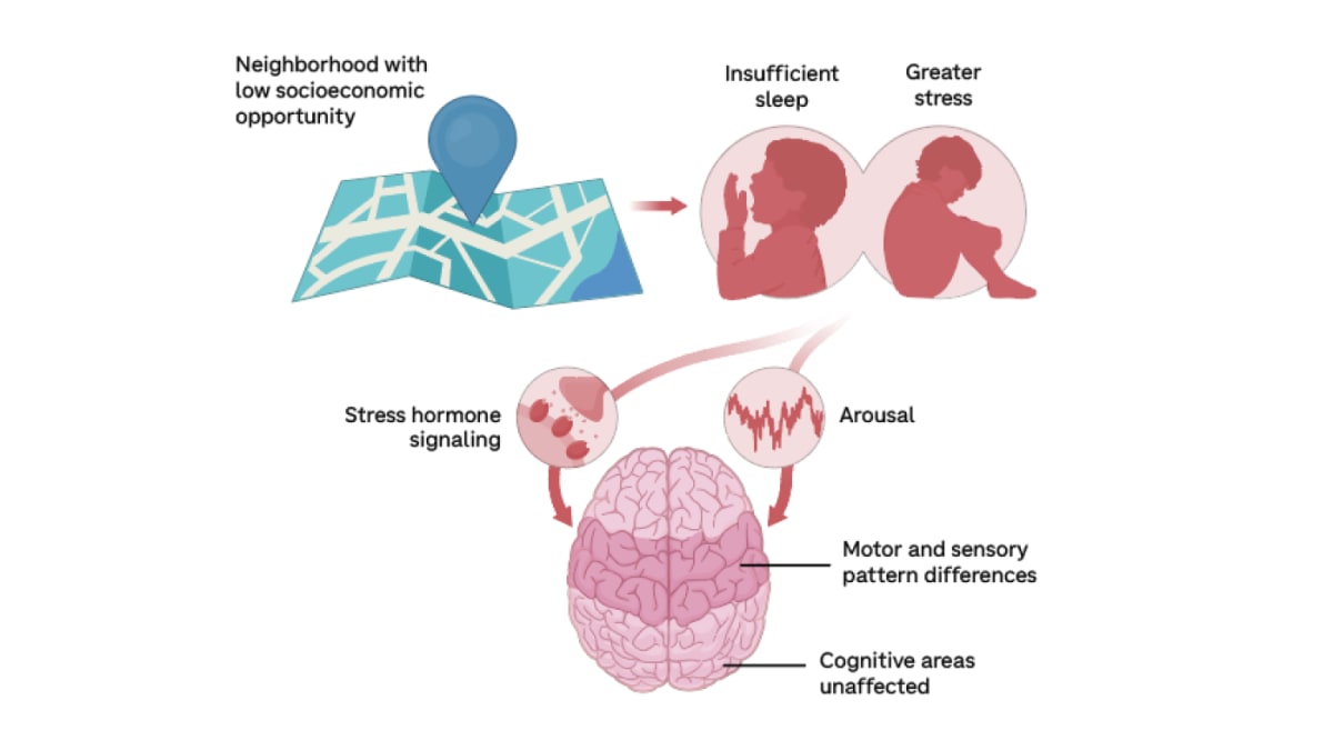 Young child sleeping peacefully in bed, representing the importance of quality sleep for healthy brain development