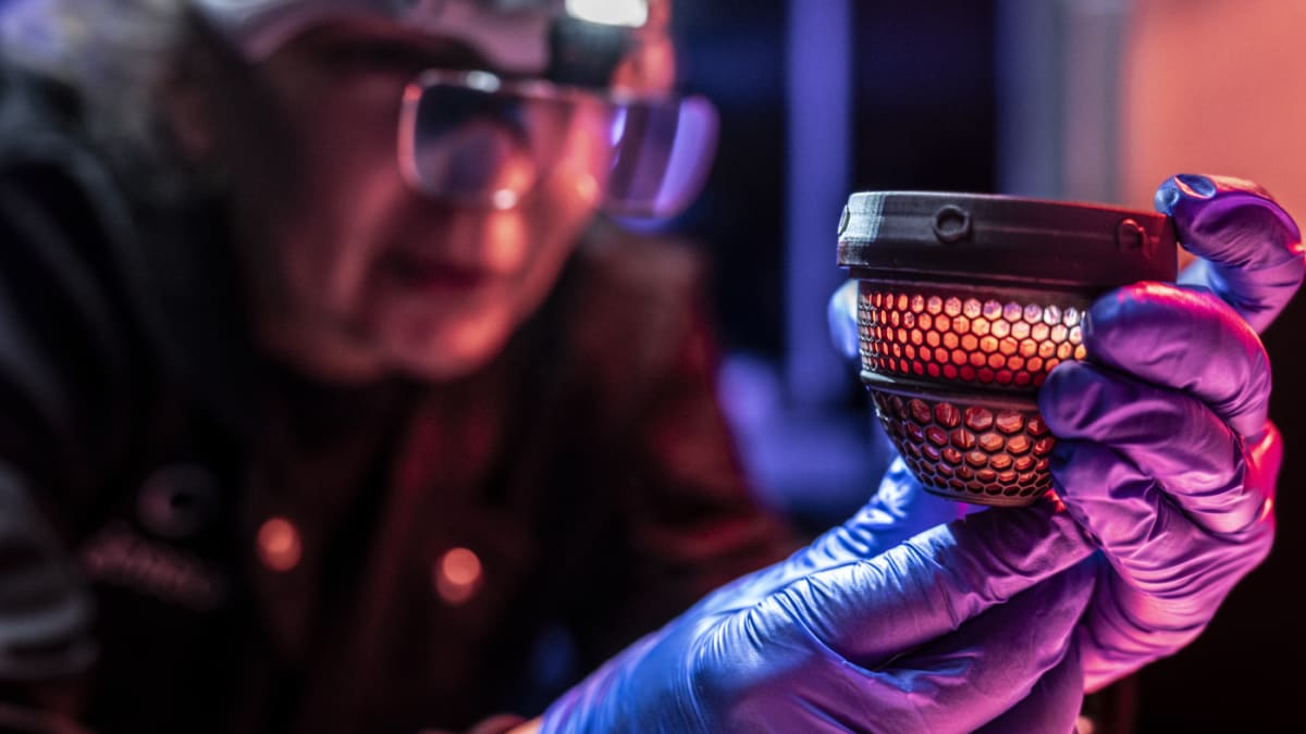 Scientists Hatch Healthy Chicks in 3D-Printed Artificial Eggs
