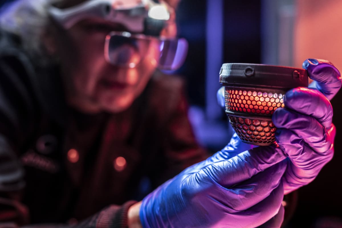 Scientists Hatch Healthy Chicks in 3D-Printed Artificial Eggs - Image 4