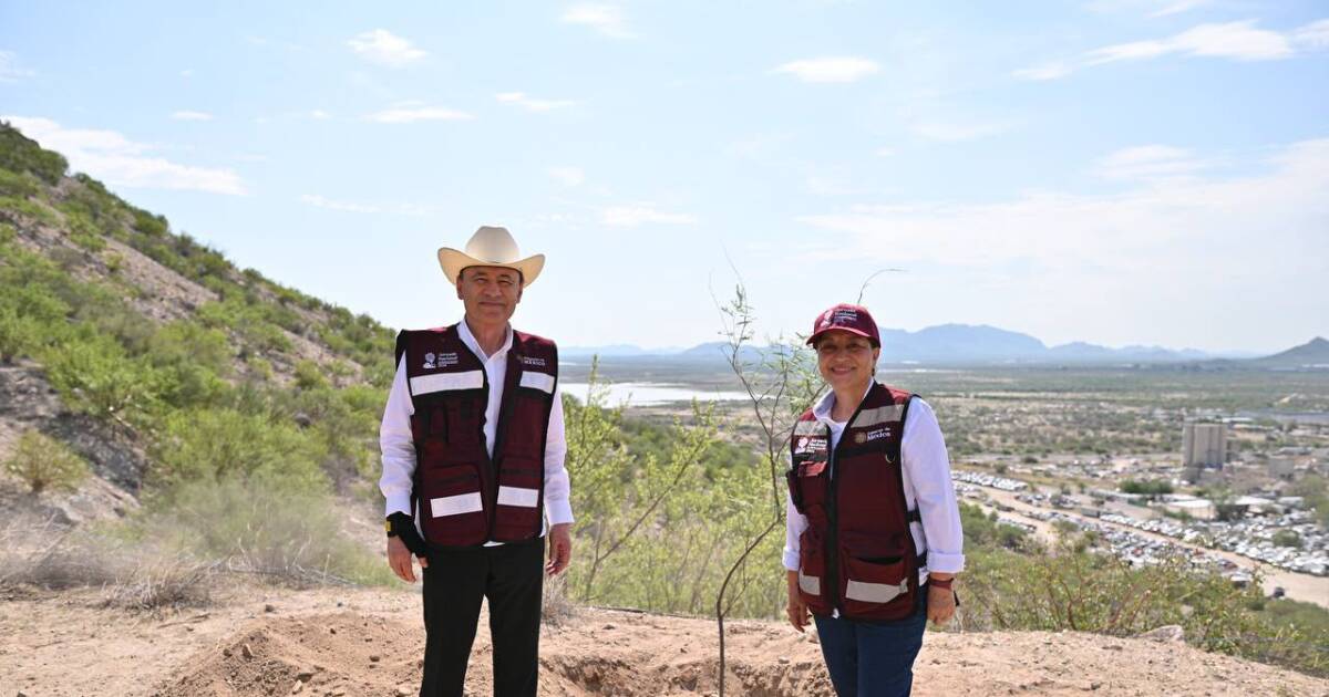 Sonora Plants 1,000 Native Trees to Cool Desert City