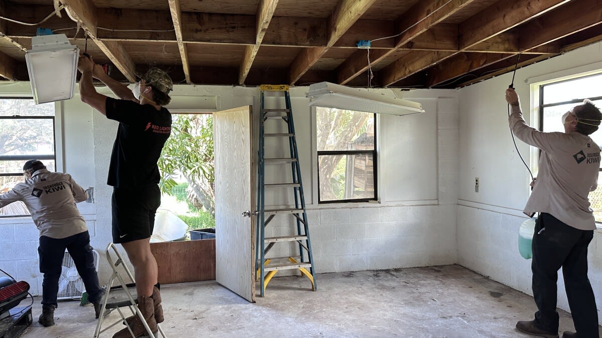 Volunteers From Hawaii to New Zealand Battle Mold Crisis - Image 2