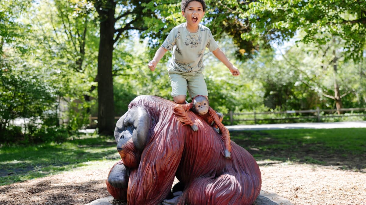 12 Animals Saved From Extinction Star in New Zoo Exhibit - Image 2