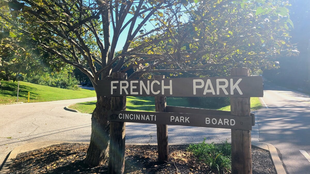 Cincinnati Begins Largest Park Reforestation in 100 Years - Image 2