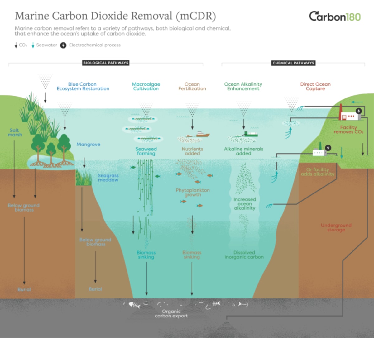 Molokaʻi Group Gets Grant for Ocean Climate Tech - Image 5