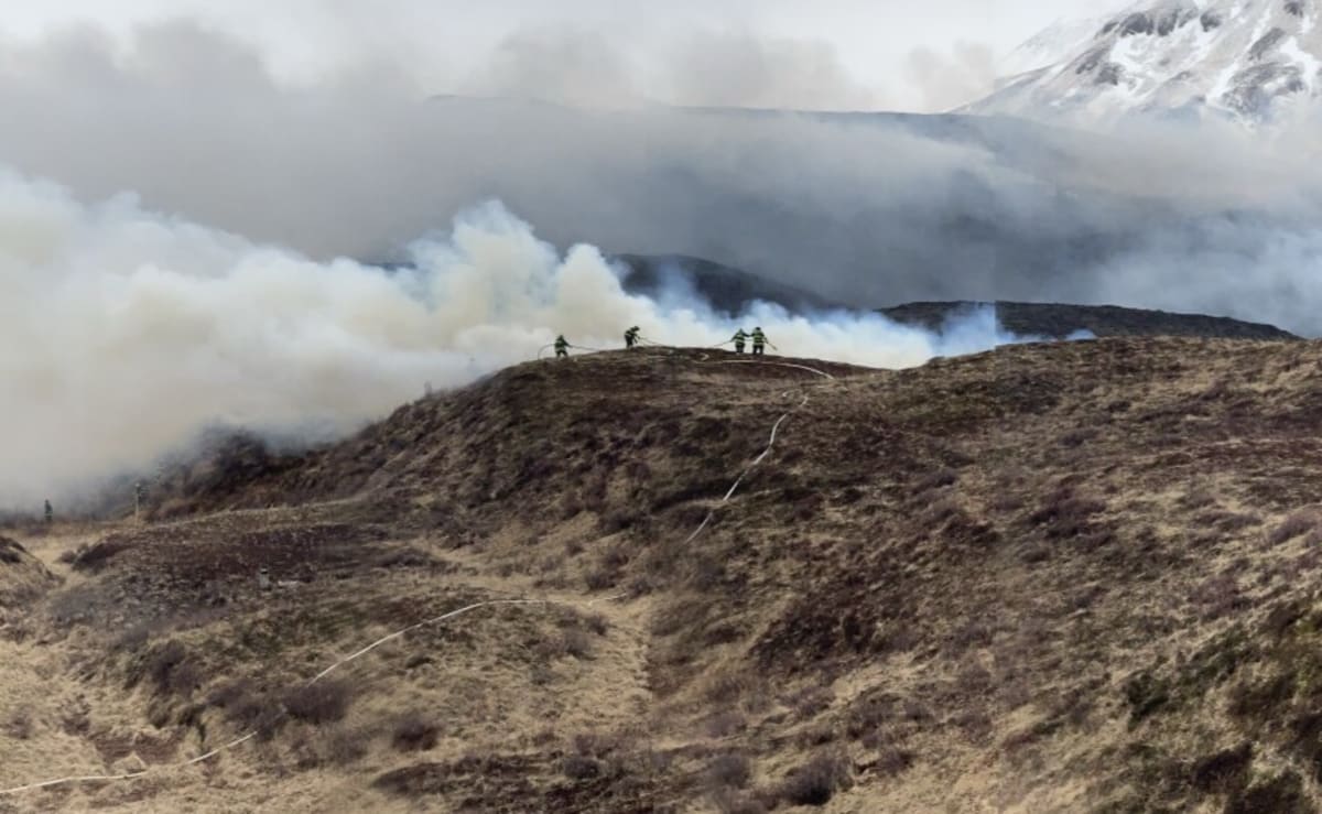 Alaska Volunteers Battle Tundra Fire in Pyramid Valley - Image 4