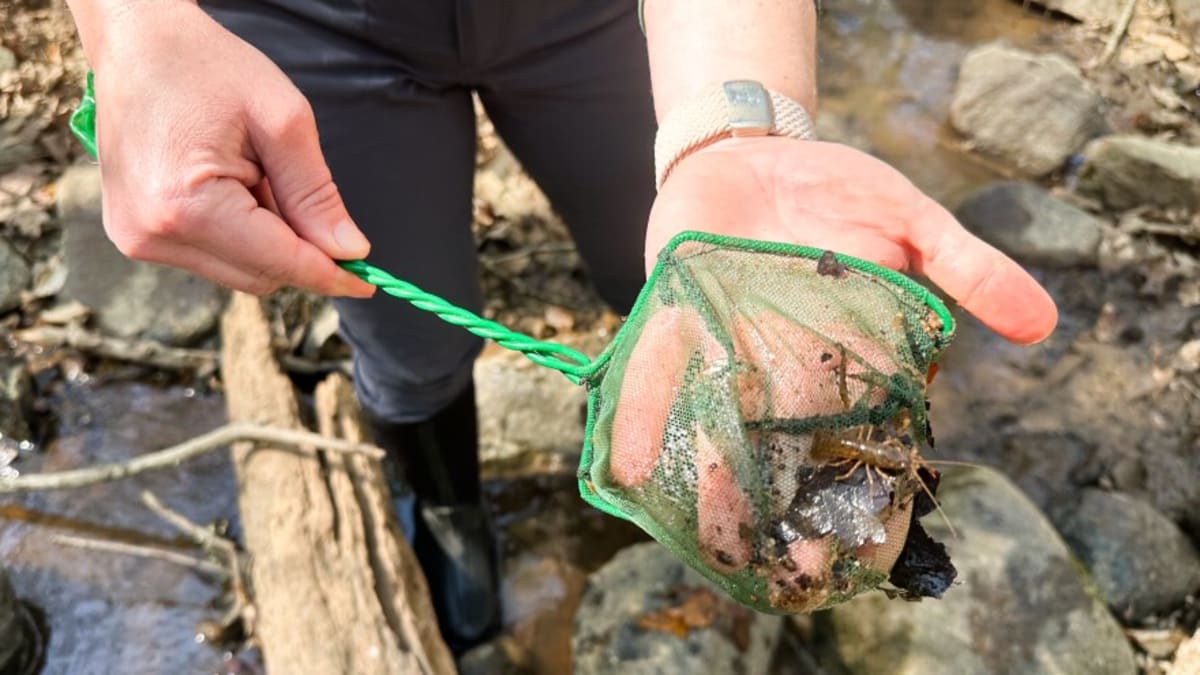 Charlotte Kids Find Climate Solutions in Local Creeks - Image 4