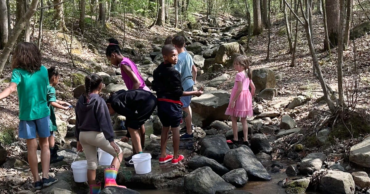 Charlotte Kids Find Climate Solutions in Local Creeks