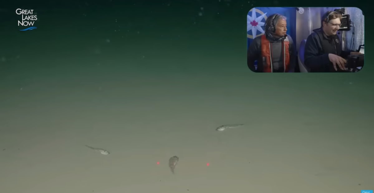 Scientists Explore Lake Superior's Deepest Point - Image 3