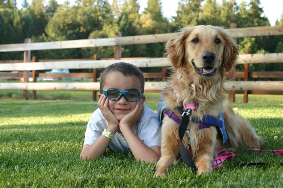 Oregon Volunteers Raise Service Dogs for Disabled Youth - Image 4