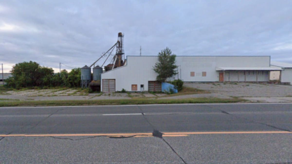 Bemidji Gives Away 10,000 Free Trees After Devastating Storm - Image 5