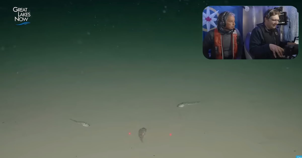 Scientists Explore Lake Superior's Deepest Point