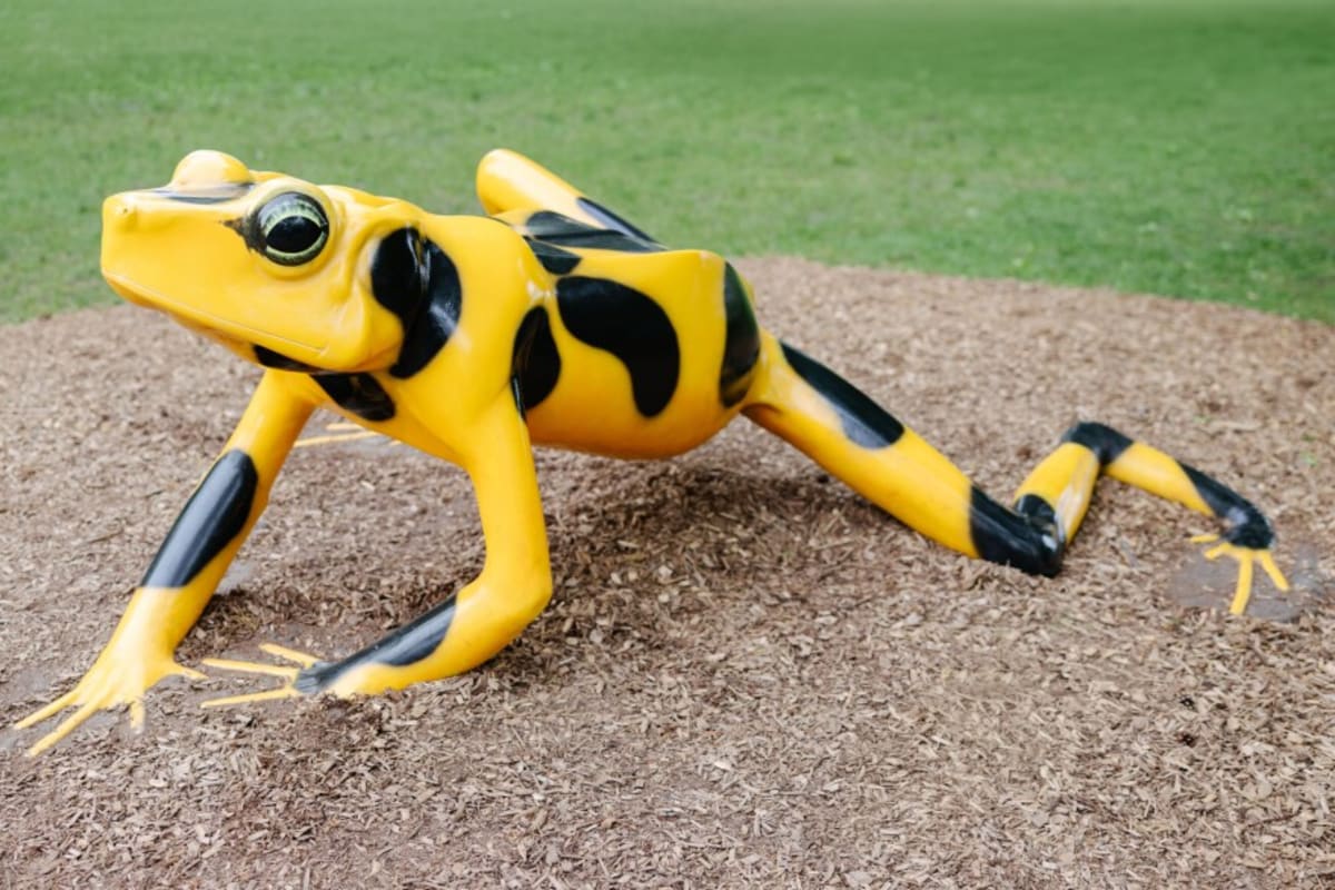 12 Animals Saved From Extinction Star in New Zoo Exhibit - Image 4
