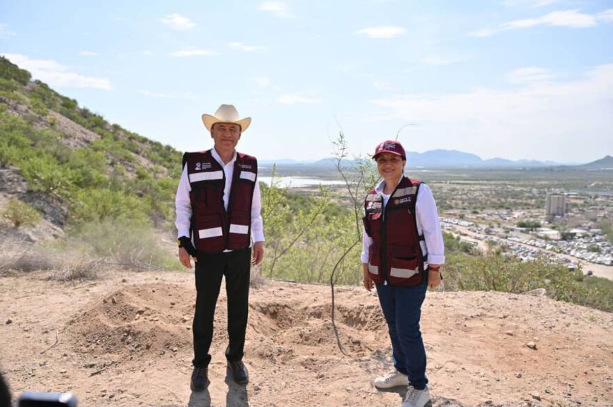 Sonora Plants 1,000 Native Trees to Cool Desert City - Image 3