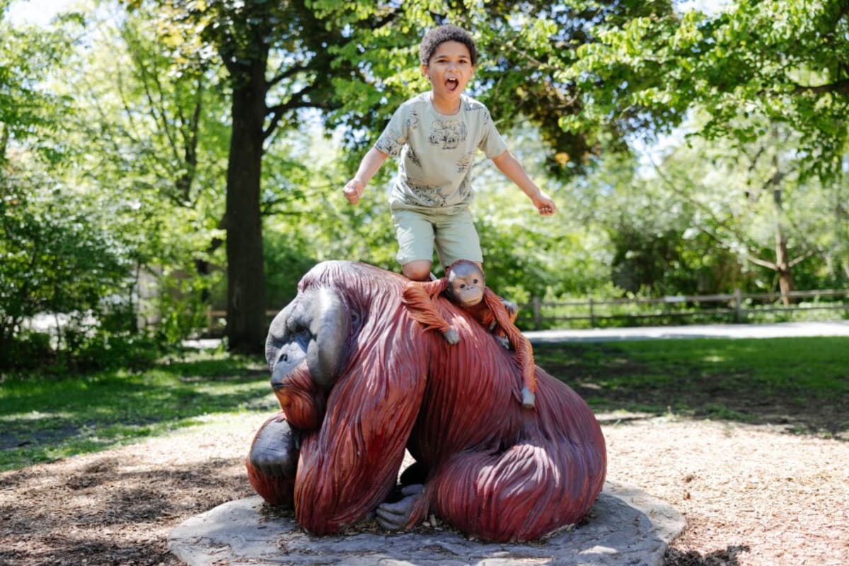 12 Animals Saved From Extinction Star in New Zoo Exhibit - Image 3