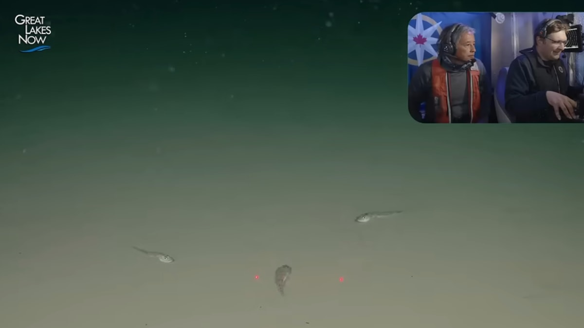 Scientists Explore Lake Superior's Deepest Point - Image 2