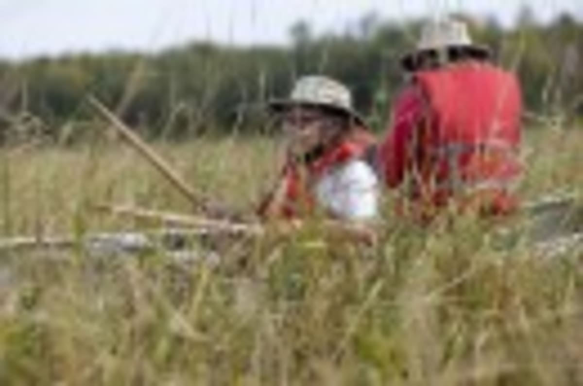 Minnesota Farmers Could Make Fertilizer from Wind Power - Image 5