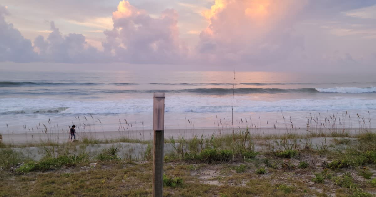 Rain gauge installed in residential yard near Emerald Isle, North Carolina measuring daily precipitation