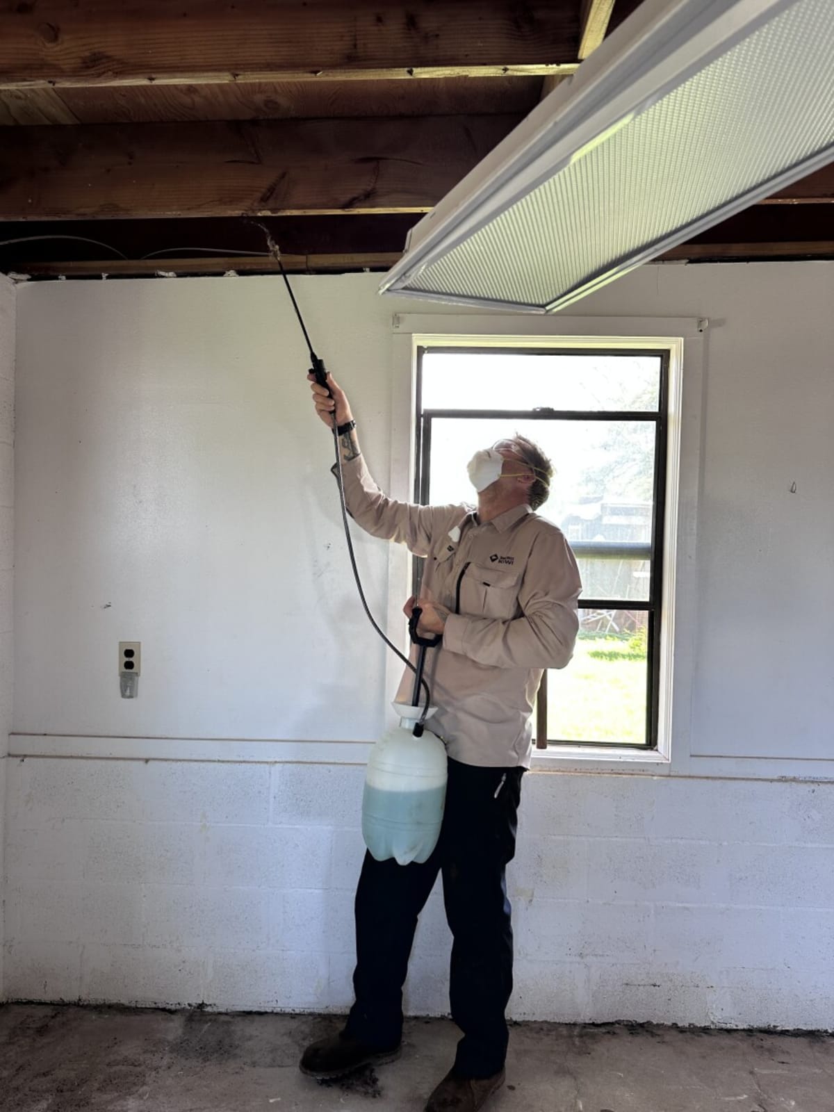 Volunteers From Hawaii to New Zealand Battle Mold Crisis - Image 5