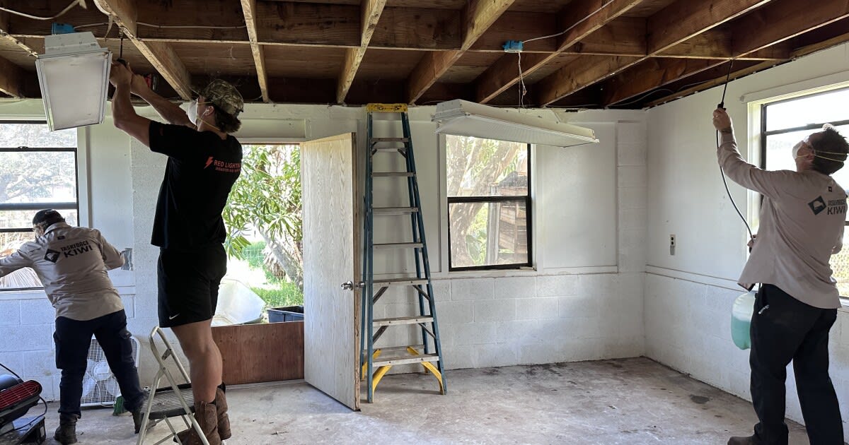 Volunteers From Hawaii to New Zealand Battle Mold Crisis