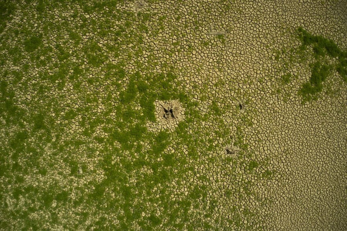 North Carolina Needs Drought Watchers. Anyone Can Join. - Image 4