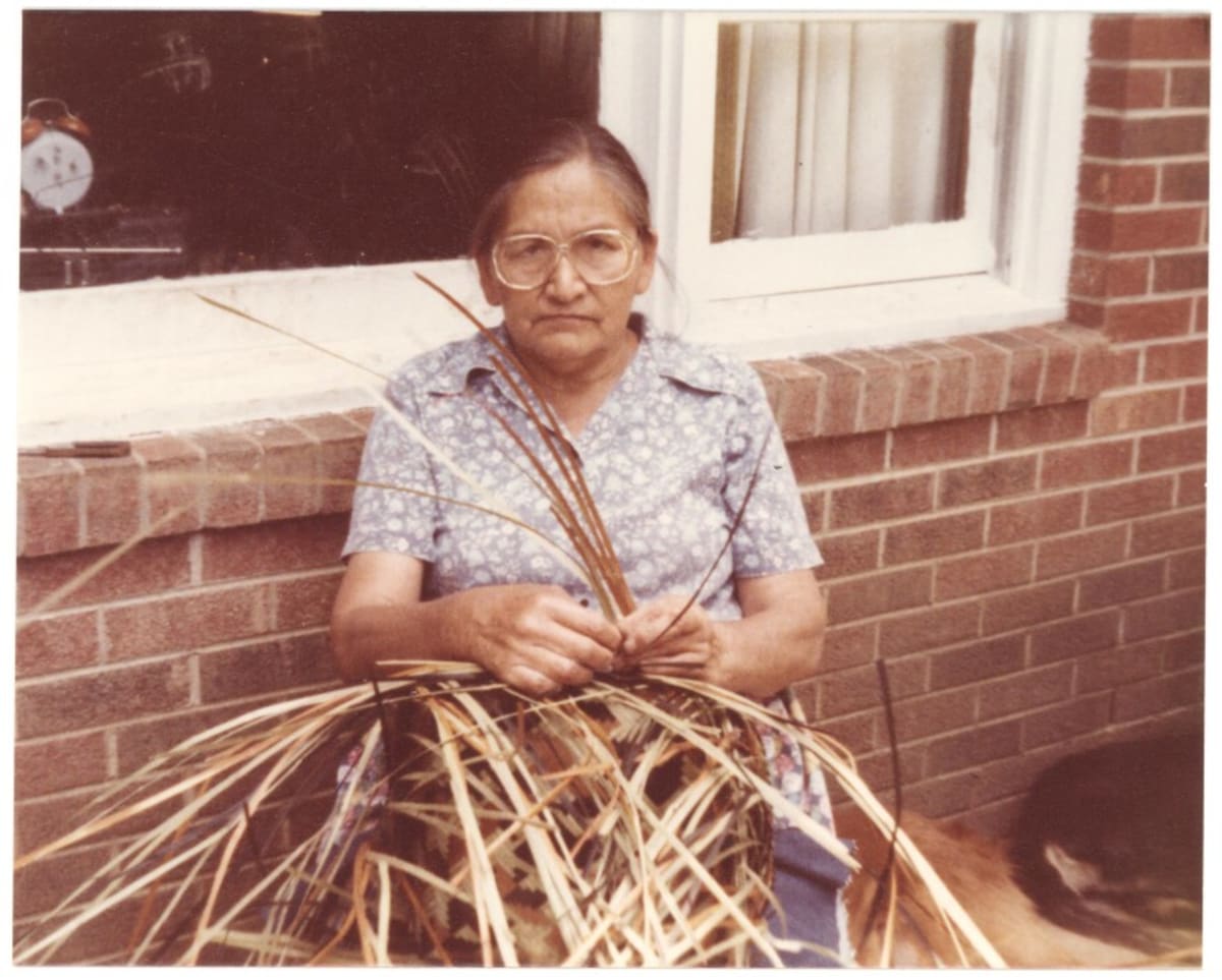 Native Bamboo Returns to NC as Post-Helene Climate Fix - Image 5