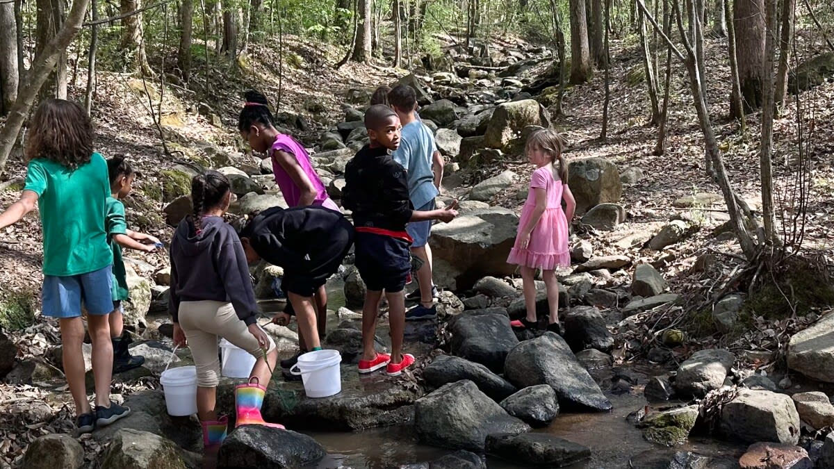 Charlotte Kids Find Climate Solutions in Local Creeks - Image 2