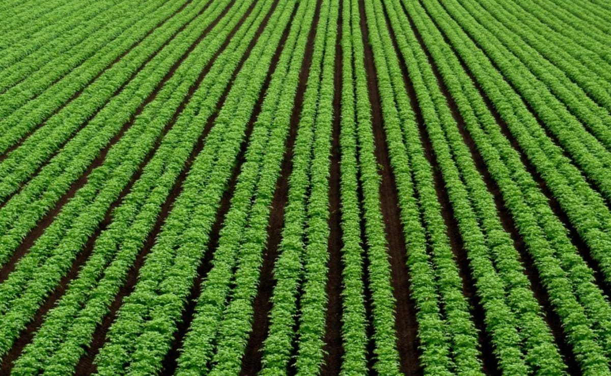 Minnesota Farmers Could Make Fertilizer from Wind Power - Image 3