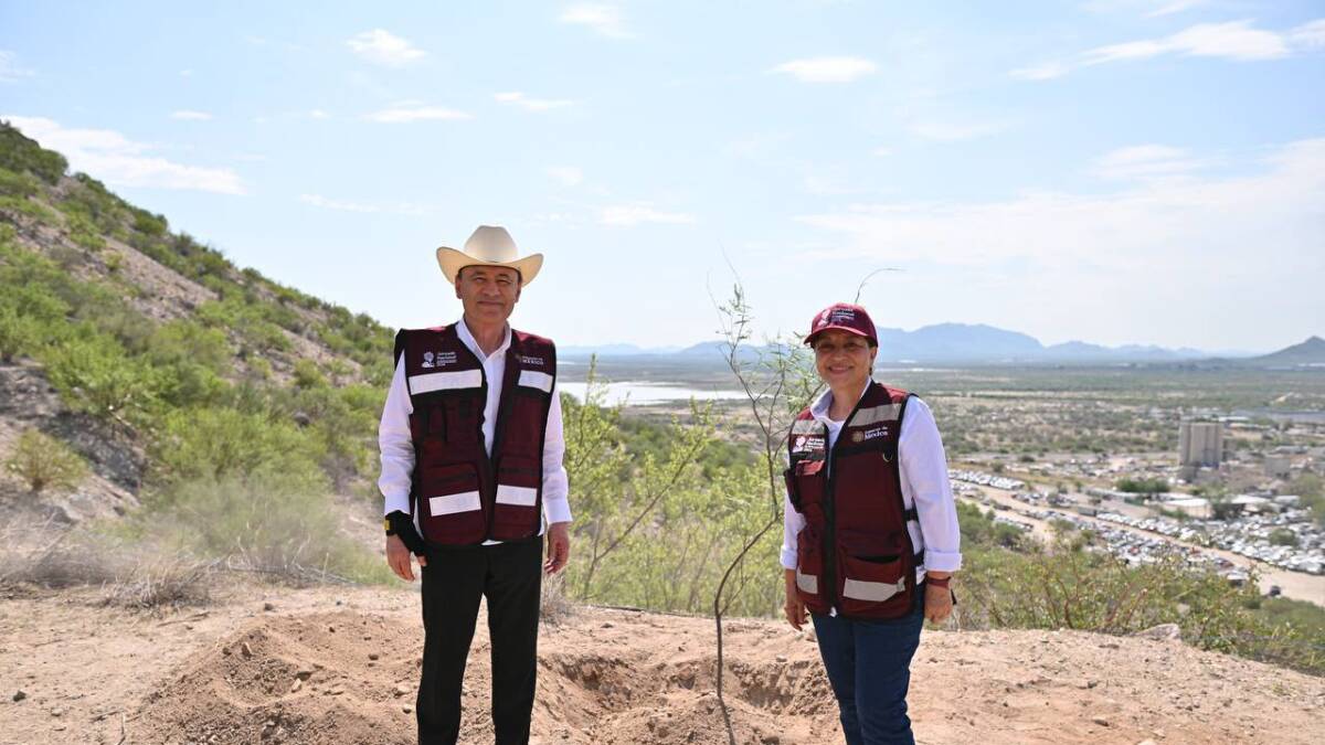 Sonora Plants 1,000 Native Trees to Cool Desert City - Image 2