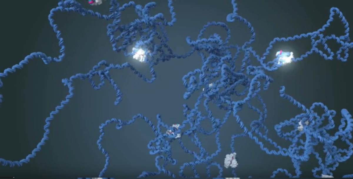Cave Bacteria Could Target Cancer Cells Without Side Effects - Image 3