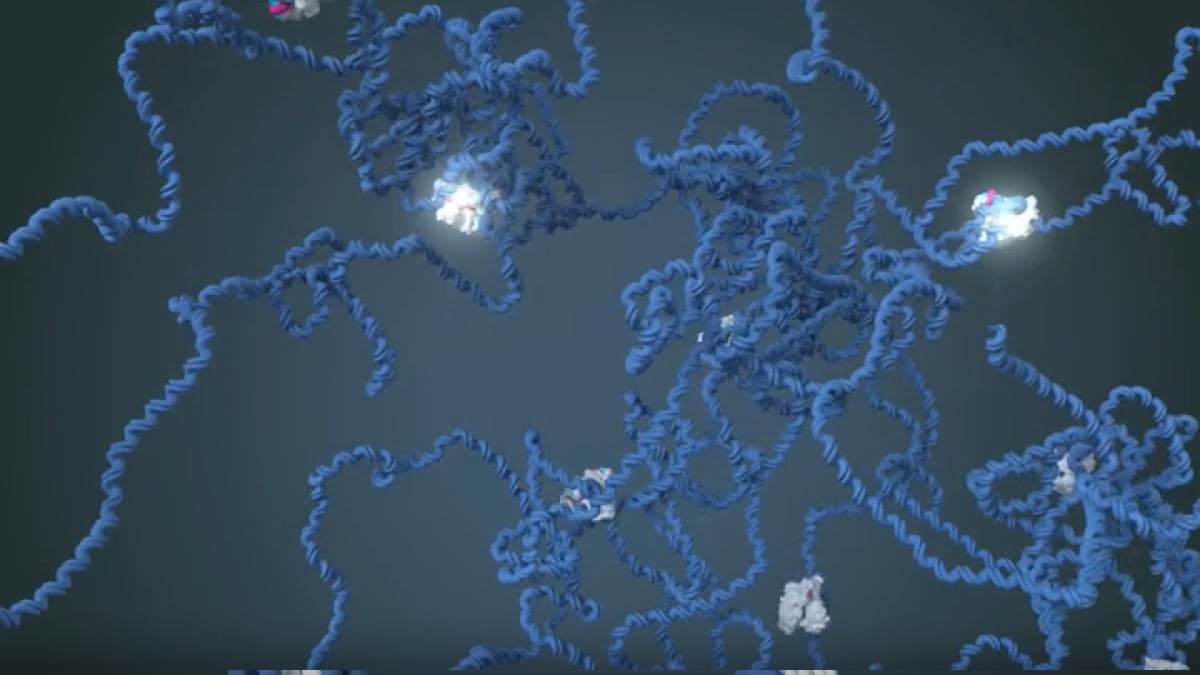 Cave Bacteria Could Target Cancer Cells Without Side Effects - Image 2