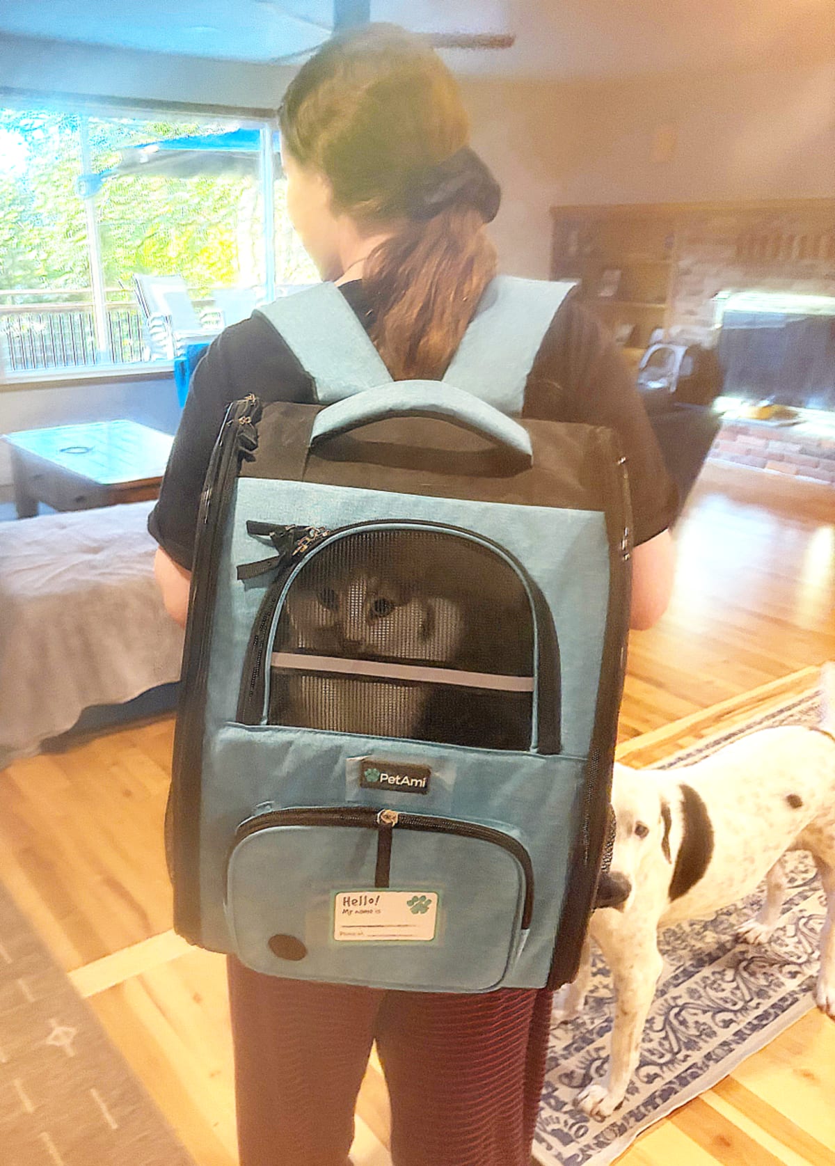 Cat Training Gets Kids With Disabilities Active - Image 5