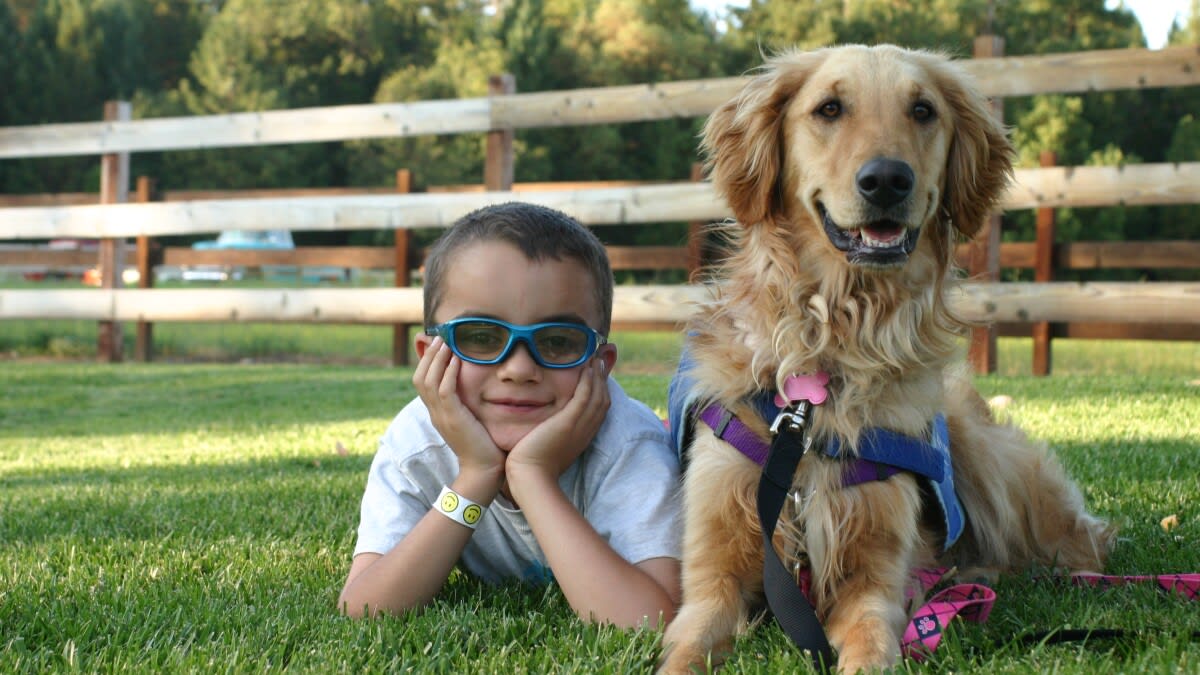 Oregon Volunteers Raise Service Dogs for Disabled Youth - Image 2