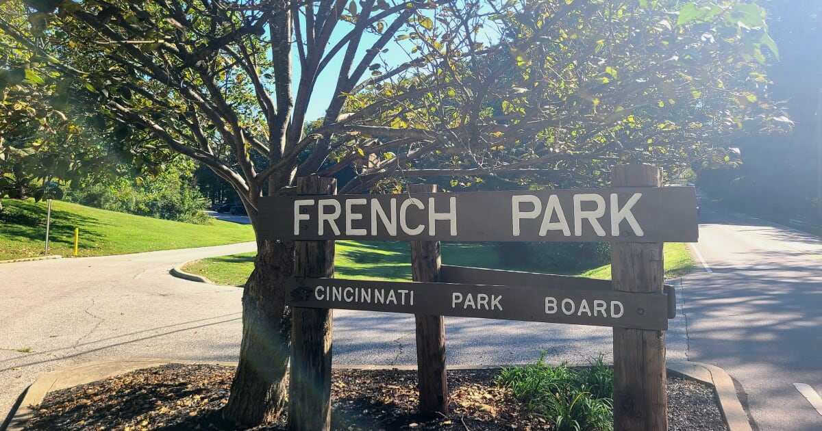 Cincinnati Begins Largest Park Reforestation in 100 Years
