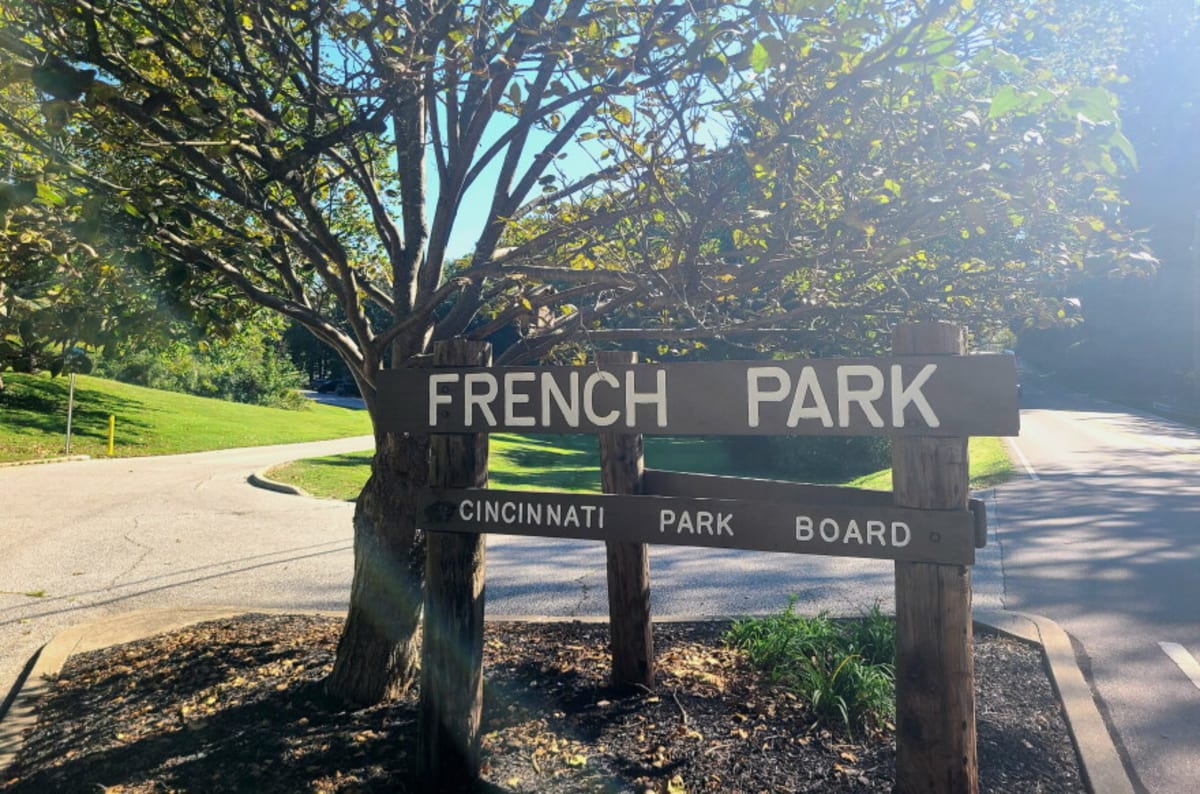 Cincinnati Begins Largest Park Reforestation in 100 Years - Image 3