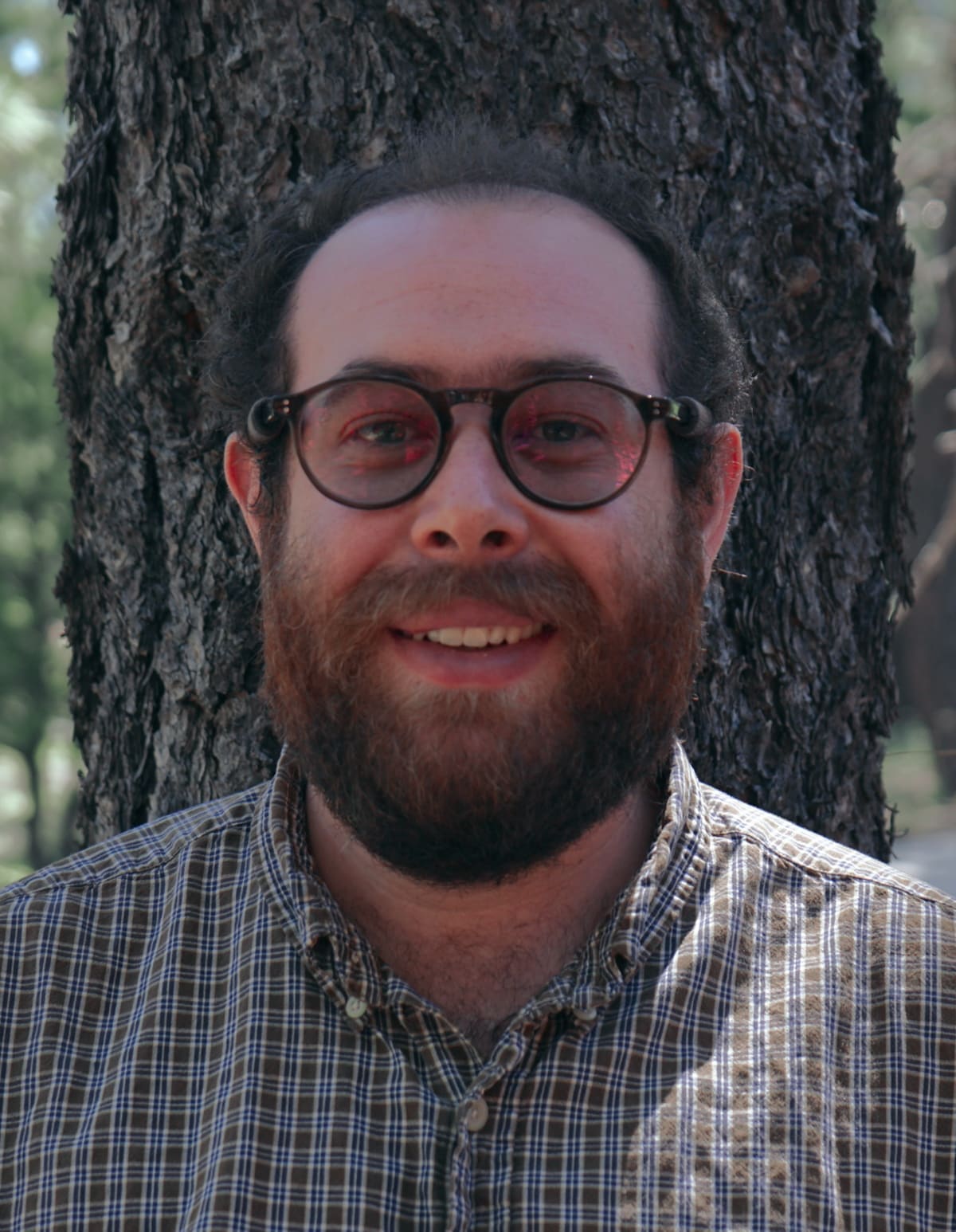 Mexican Wolf Population Hits 319 After 10 Years of Growth - Image 3