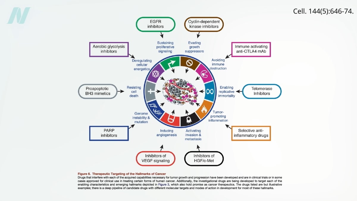 Plant Foods Target All 10 Cancer Hallmarks, Studies Show - Image 2