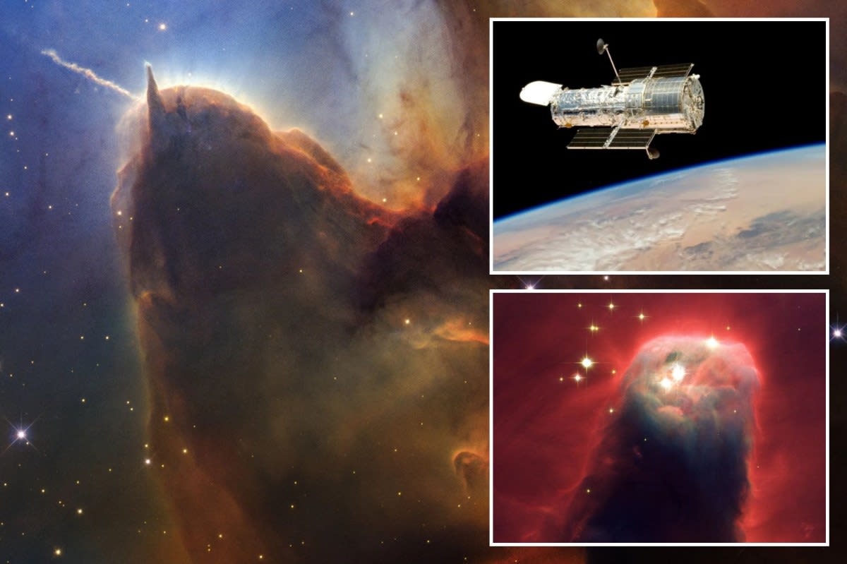 Hubble Telescope Celebrates 36 Years with Cosmic Sea Slug