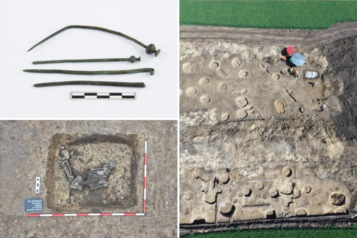Ancient bronze artifacts including axes, pins, and bracelet laid out on examination table