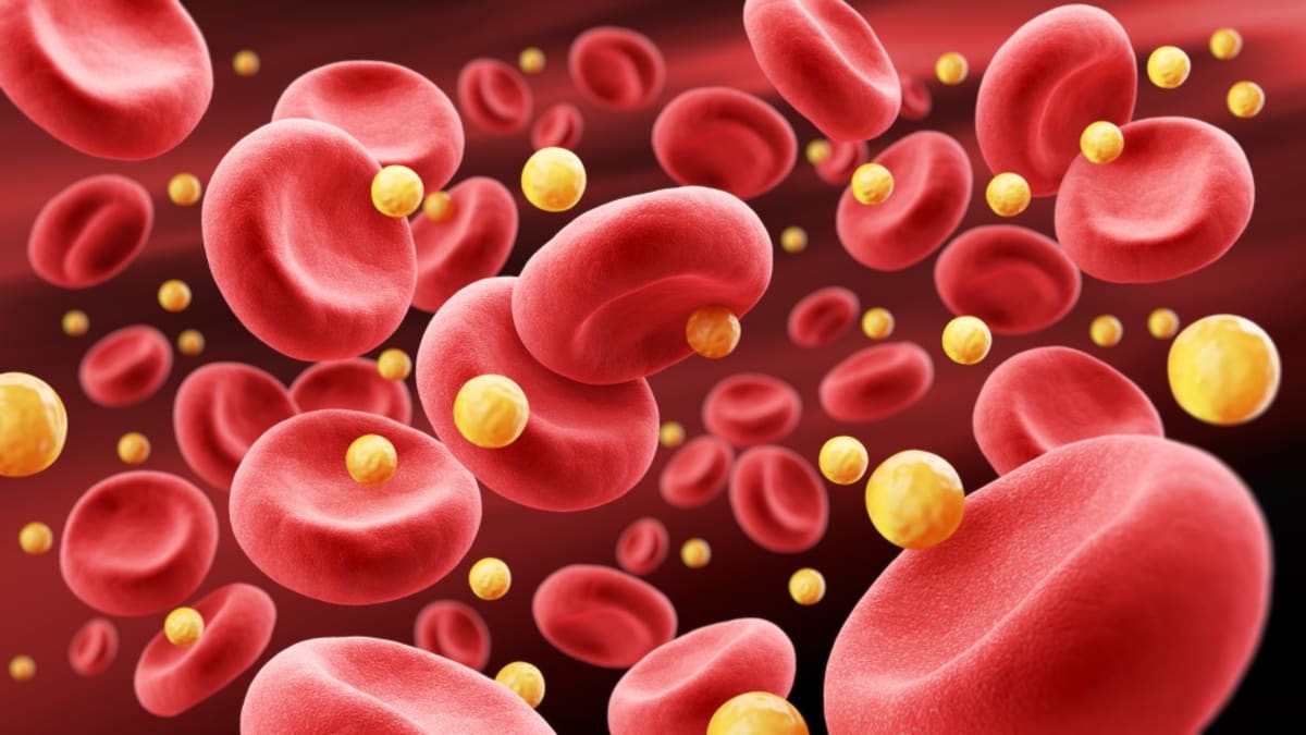 One Injection Cuts Bad Cholesterol 62% for Life - Image 4