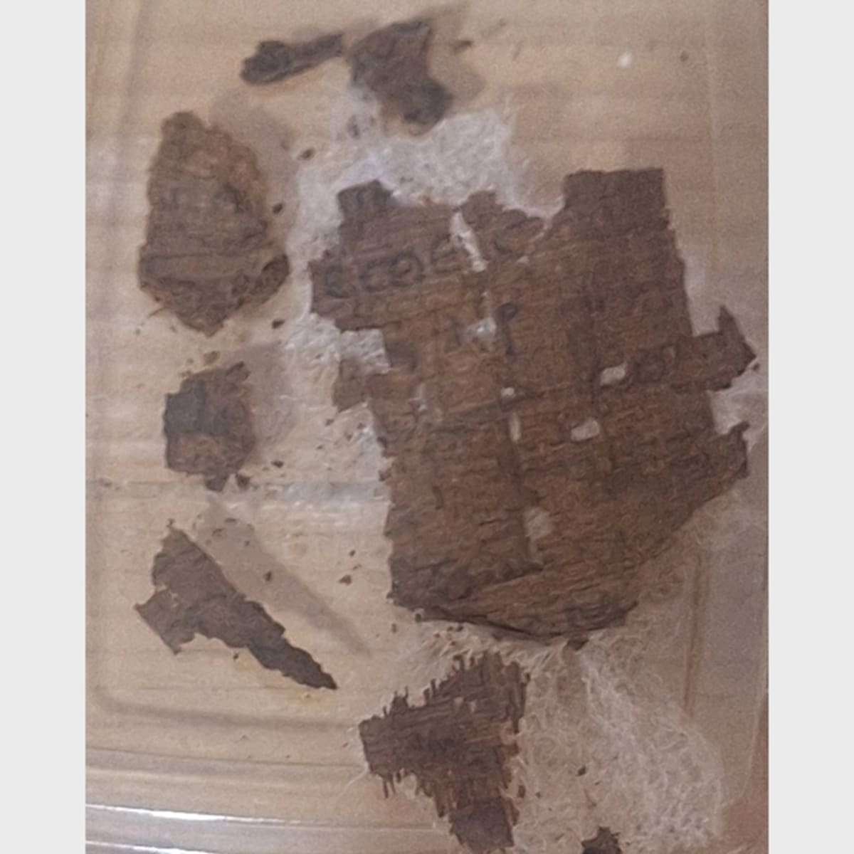 Homer's Iliad Found on Egyptian Mummy for First Time - Image 3