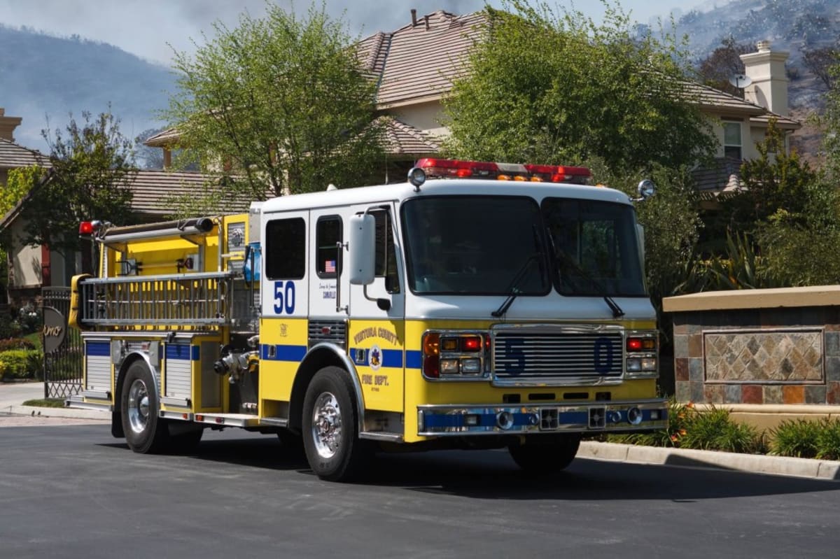 Firefighters Save Kitten Stuck in Entertainment Center - Image 5