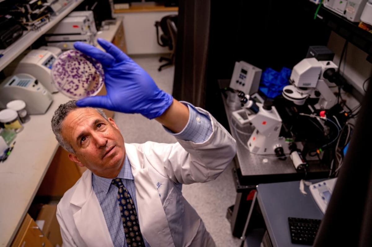 AI Matches Untested Drugs to Rare Diseases, Saves Lives - Image 2