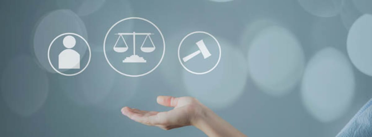 Law Students Create App to Help Parents Collect Child Support - Image 4