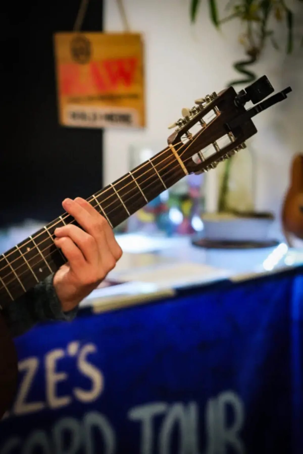 Nashville Musician Attempts 50 States in 30 Days - Image 4
