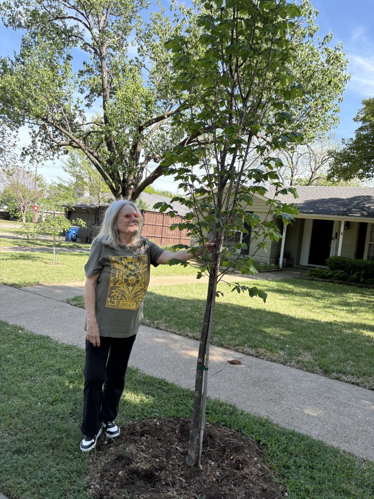 Dallas Neighborhoods Plant 100+ Free Trees in 3 Years - Image 4