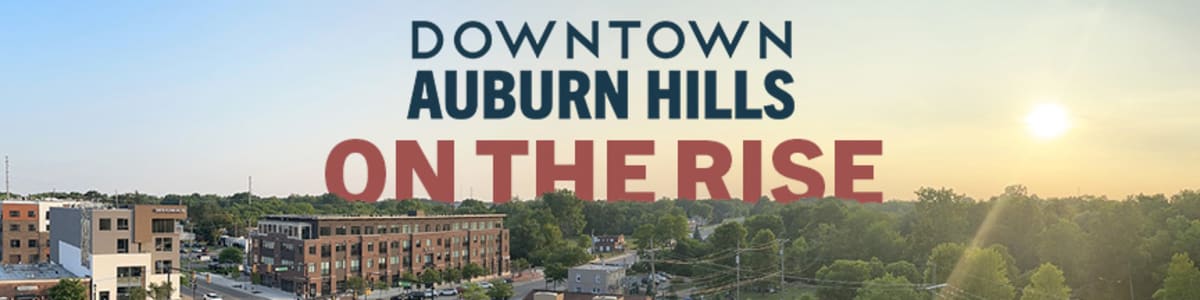 Auburn Hills Seeks Volunteers for Meals, Yard Work, Events - Image 3