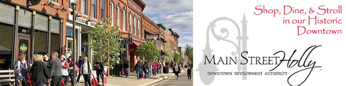 Auburn Hills Seeks Volunteers for Meals, Yard Work, Events - Image 5