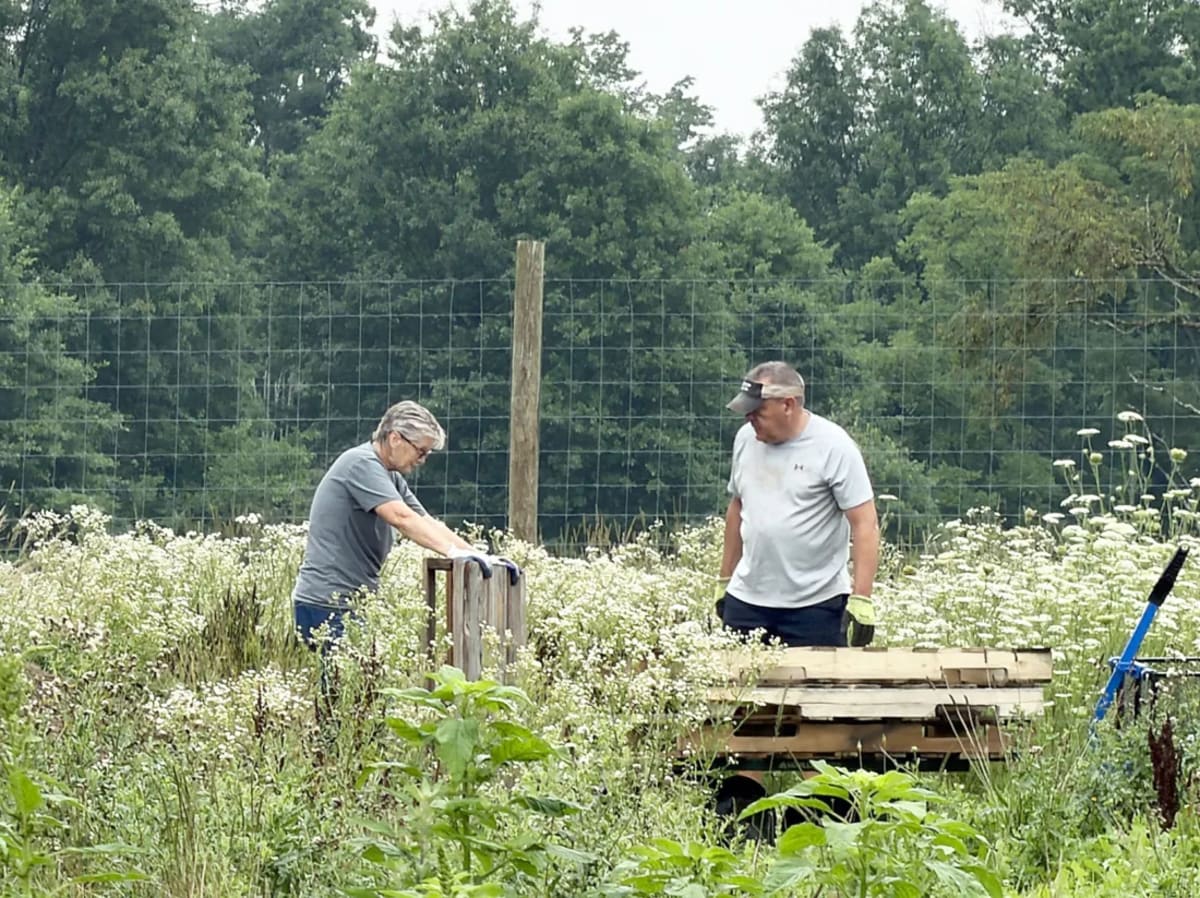 Pennsylvania Garden Feeds Thousands, Seeks More Helpers - Image 3