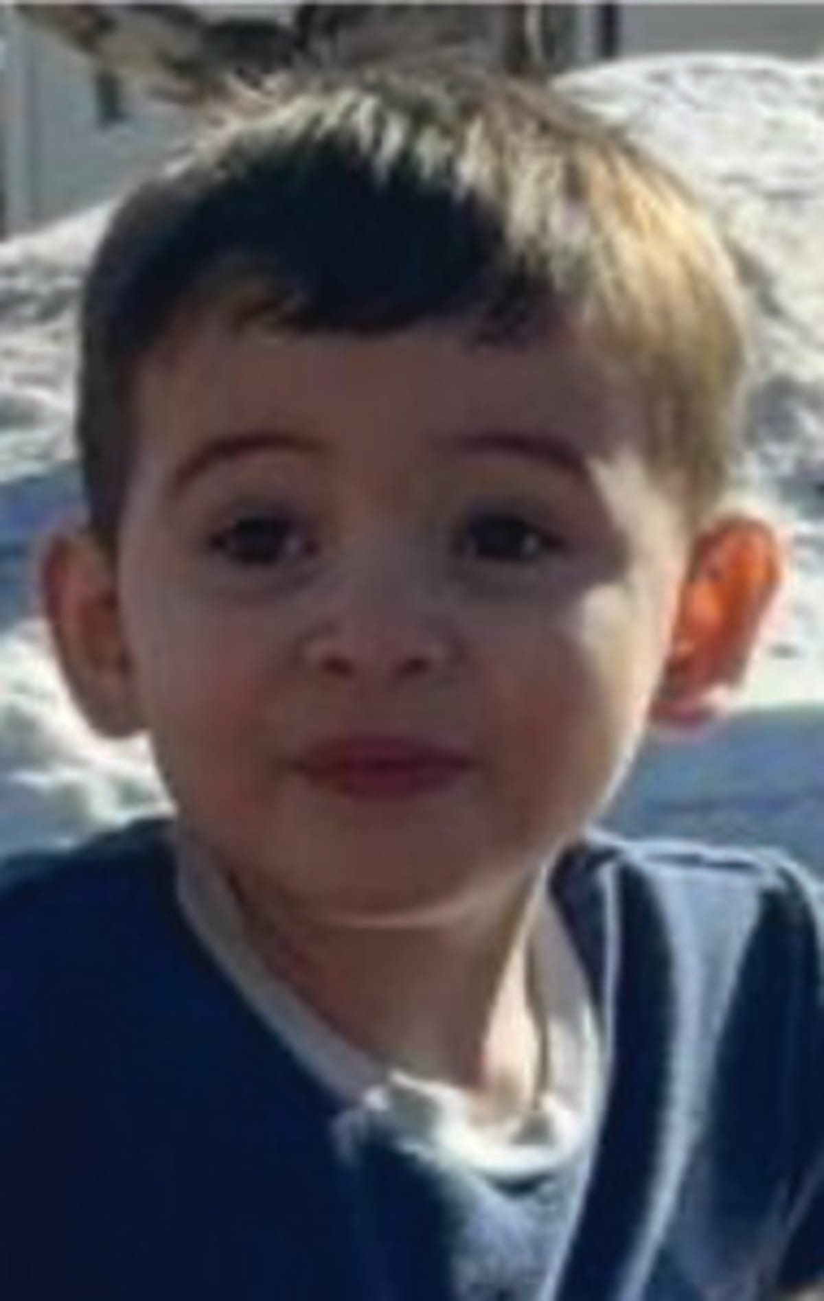 Michigan Schools Go Green, Create Jobs in Clean Energy Push - Image 4